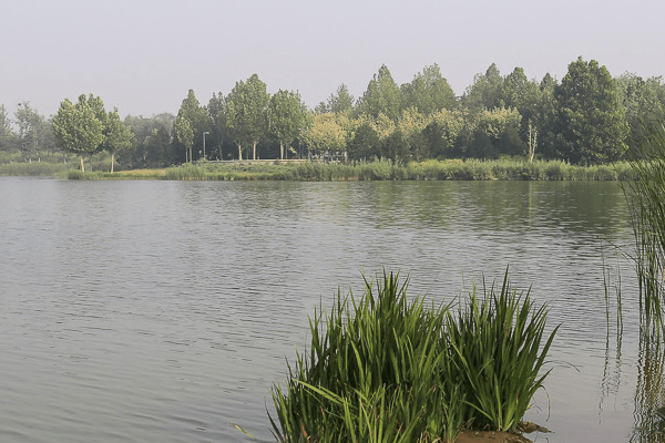 北京最大的溼地公園有16個故宮那麼大門票卻不要一分錢