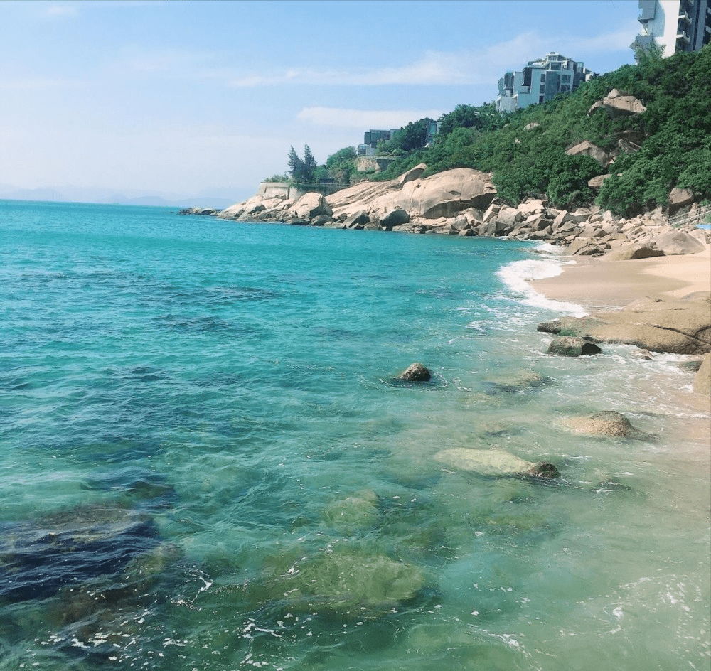 深圳葵涌街道有排牙山有小北京之称的沙鱼涌有国际生物谷