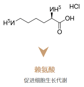 海水珍珠护肤 | 探寻焕亮肌密·「 珍珠母液细胞修复 」