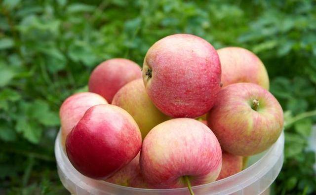 能够帮助|肾衰竭“刚萌芽”时，4个反常莫忽视！喝2茶，吃2果，预防尿毒症