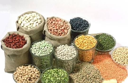 养脾胃最好的五谷杂粮 062208efccee48109397f66561332e85.jpeg