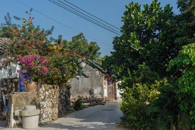 阳江也有个隐秘的角落古村静美有时间赶紧来看看