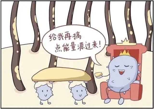 洗头花几千块做头皮清洁,到底是不是智商税?