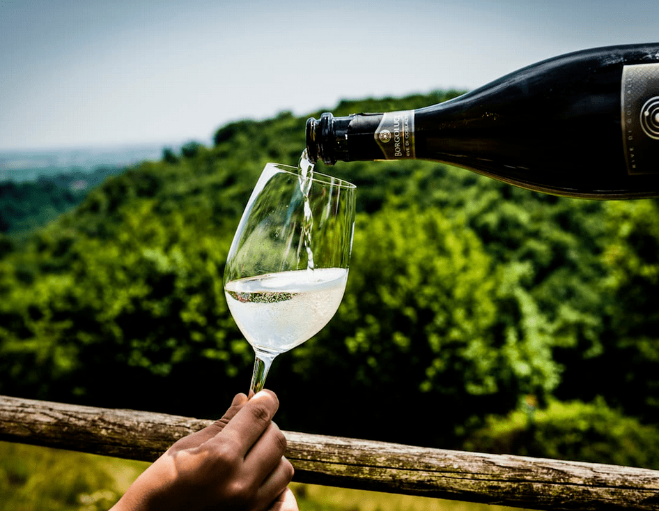 庄园|苏州远豪商贸携Aresca庄园、Borgoluce酒庄邀您共赴全国意大利精品酒之旅