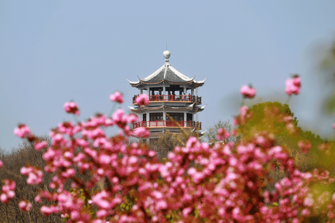 发布了!信阳市春季十大赏花线路