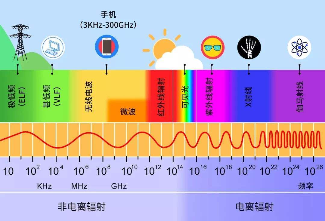 波长|两颗葡萄放进微波炉为什么会爆炸？科学家花了二十多年才得出答案