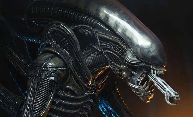 雷普利|必火美剧《异形》正式开拍 主创雷德利·斯科特有望加盟制作