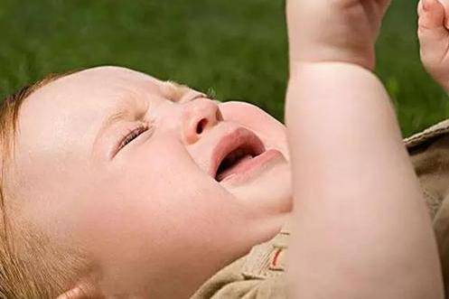74e99d72342840bb8b47ef64c62ec455.jpeg