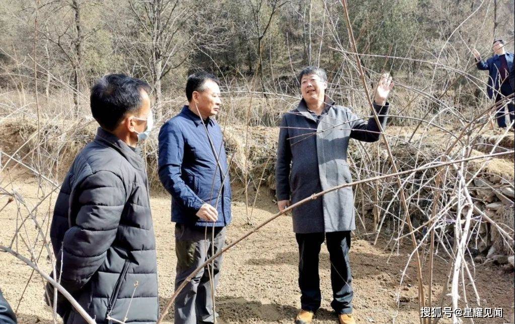 卢氏县双龙湾镇开展连翘春季管理技术培训会