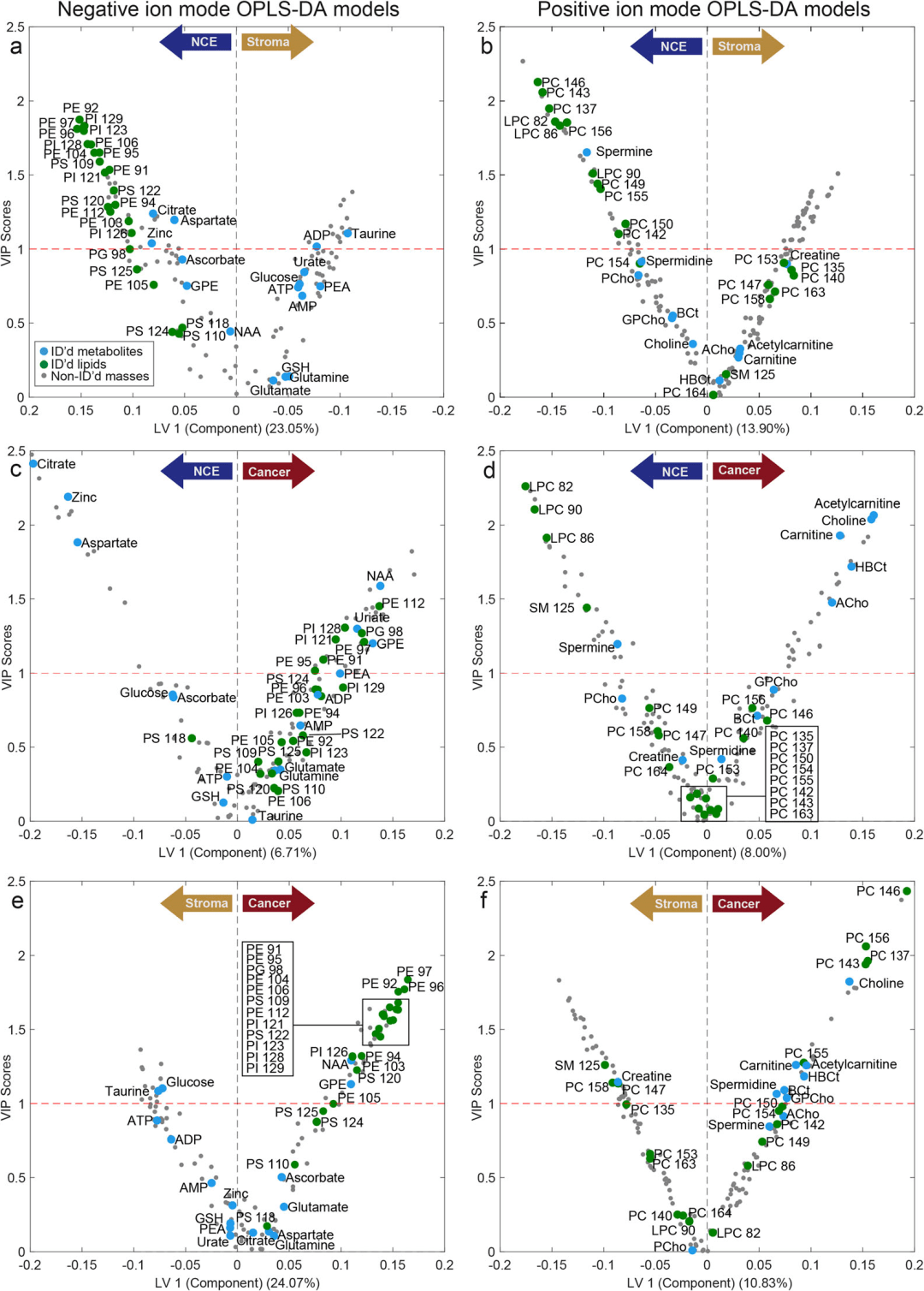 空间代谢组学技术研究前列腺癌的空间代谢差异