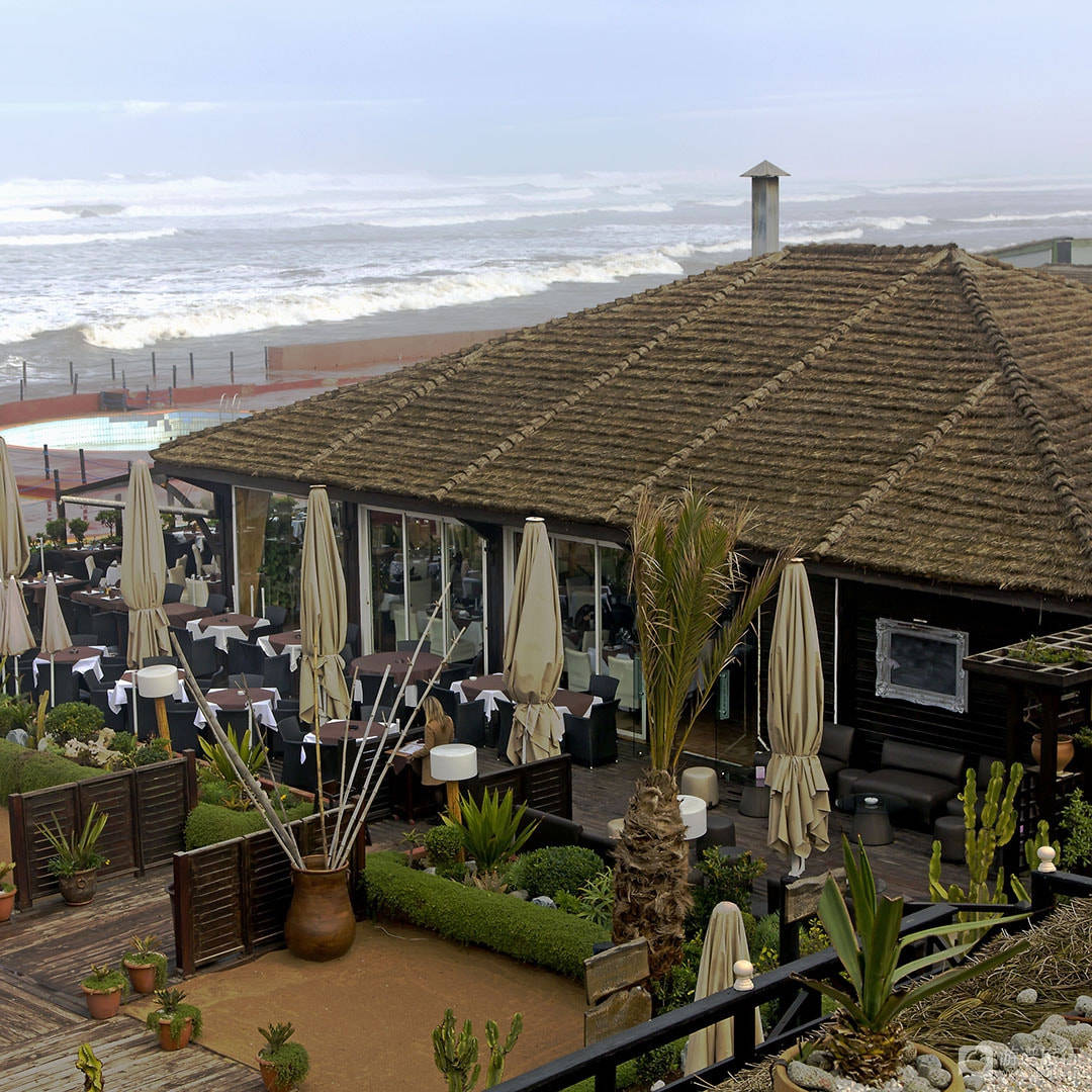 伊尔莎|致敬经典《卡萨布兰卡》