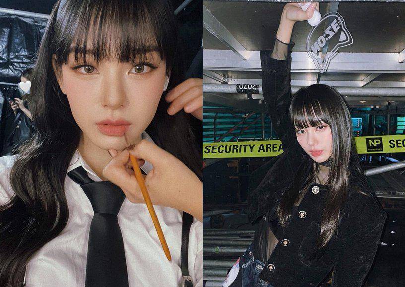 宋轶猫系长相的辛芷蕾，狐狸系美人宋轶，这些动物系长相该怎么判断？