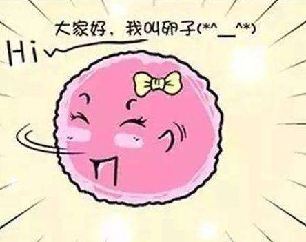 吃什么能让卵子成熟 828f1f21fd3d44c4b87c5a547817f2b1.jpeg