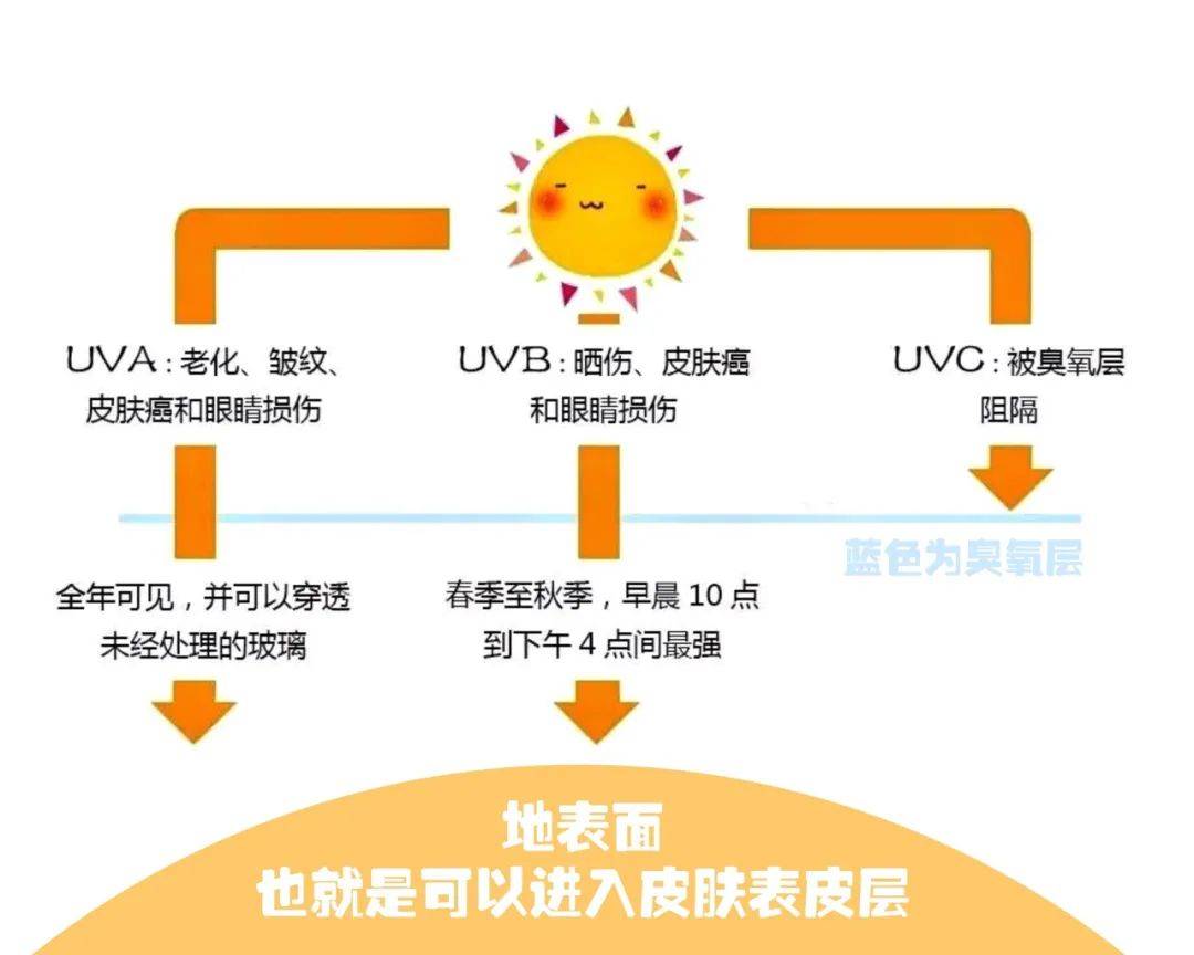 射线日本贵妇品牌POLA家4款防晒霜到底该怎么选择？