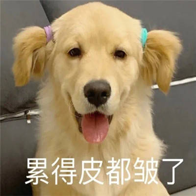 超级有趣表情包:你在偷偷想男人吗_经典_表情_男人