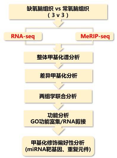 高压|RNA甲基化之m7G—另辟蹊径带你轻松发文！