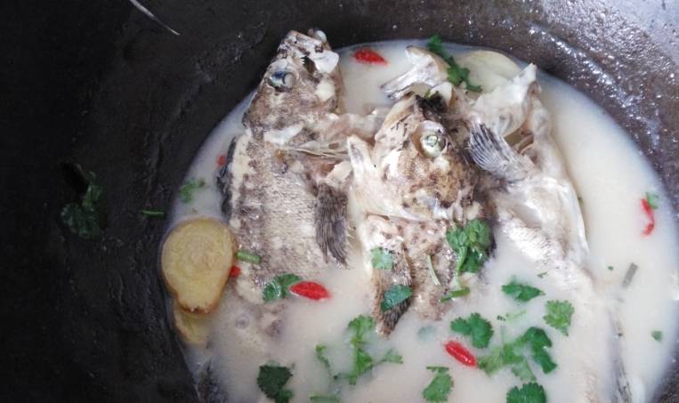 春天多給家人吃這魚比甲魚有營養比鯽魚滋補燉湯鮮掉眉毛