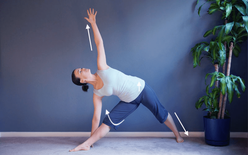 适合初学者练习的16个拉伸动作全身拉筋