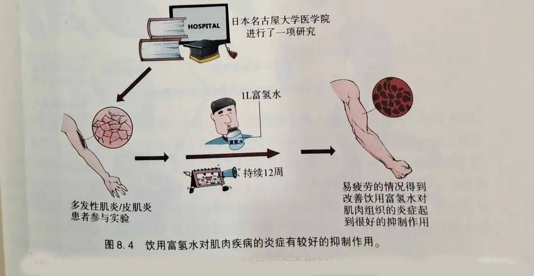 功能|科普连载8.3 骨骼肌损伤与功能恢复之氢气人群试验