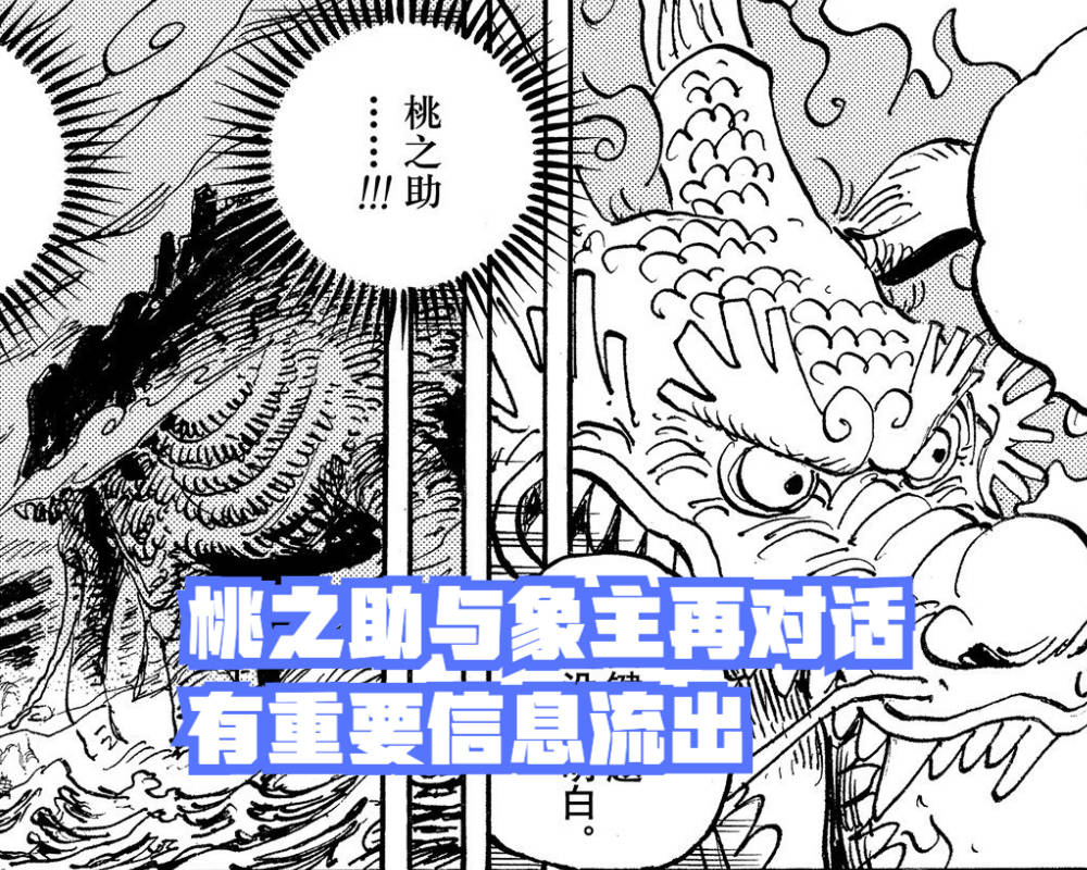 蜘蛛|海贼王1043话，桃之助成为关键，光月御田可能以别的方式复活