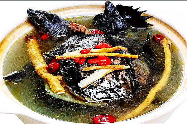 气血双补,补虚养身,滋阴,营养不良食谱--乌鸡炖甲鱼