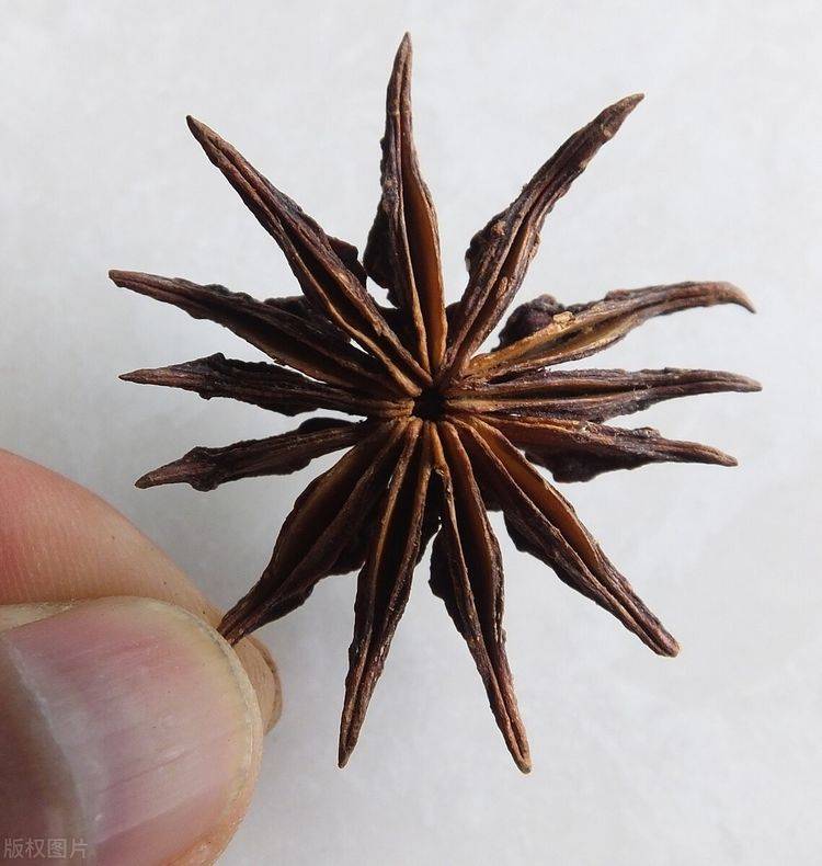 八角也有 假的 4个鉴别的小方法 避免买到假八角 良品联社