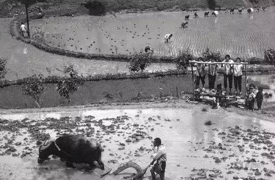 70年代生产队老照片_劳动_建设_人民公社