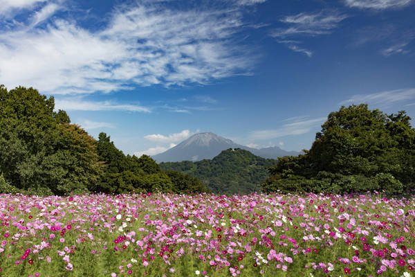 气候|探索不一样的日本「山阴山阳」秘境之旅