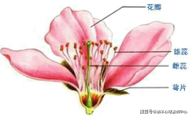 7岁男孩纵火烧毁小区电动车别让孩子的生命力成为一种破坏