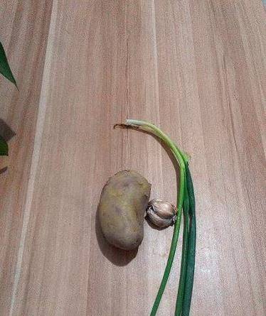 加入适量|没有干锅也能做出可口的干锅土豆片,简单美味,土豆控不要错过哦