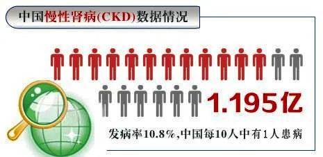 肾脏病|人人关注肾健康——吾爱吾肾、知识强肾