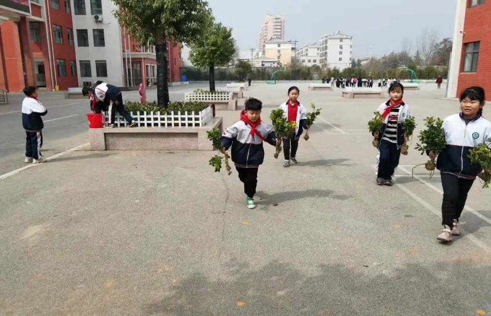 枣庄市中区建设路小学东校区开展植树节主题教育活动