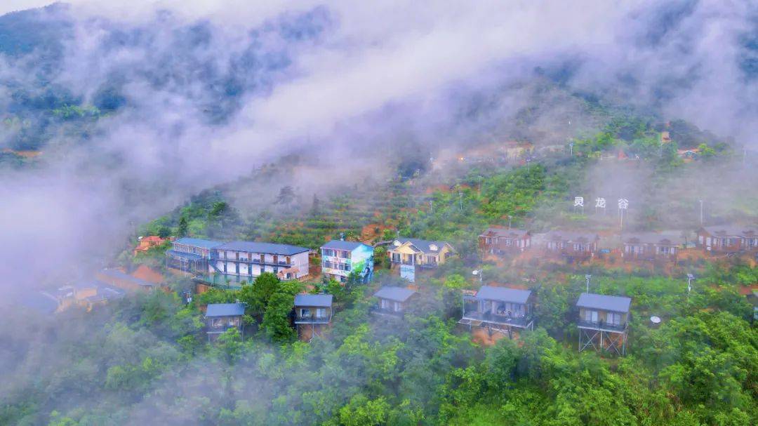 温柔的暖风徐徐吹来站在这灵龙谷之巅感受大自然的熏陶