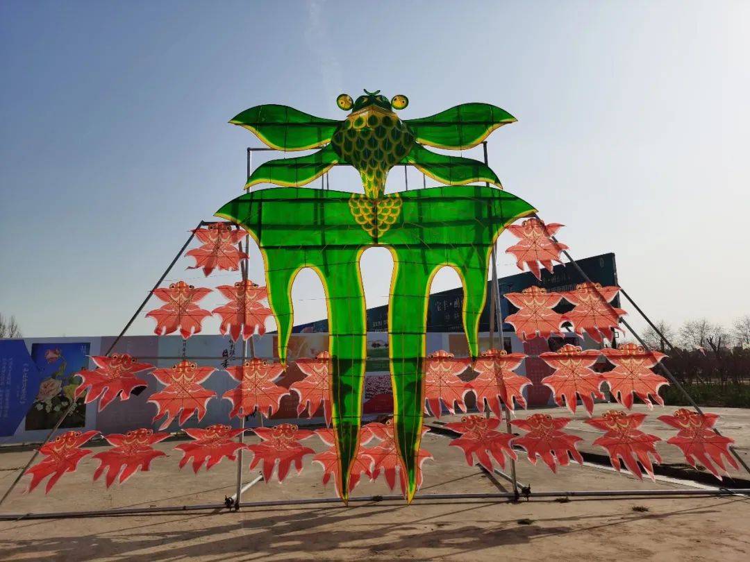 04大型室外风筝展览05落地风筝展览06卡通风筝展览07diy亲子互动你