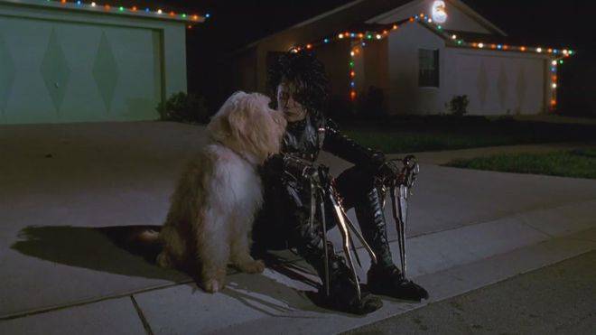 爱德华|老实说,在看《剪刀手爱德华》之前,我对爱情并没有什么概念