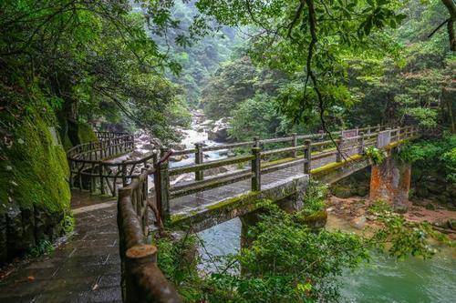 原創湖南一4a景區走紅森林覆蓋率達百分之9875距衡陽市150公里