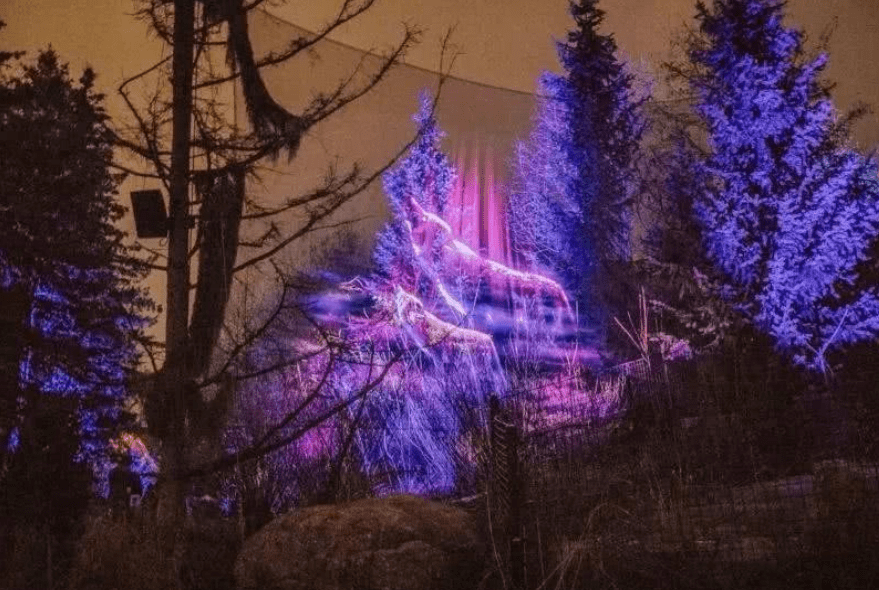 【全息森林公园】带你玩转光影世界_游客_互动性_投影