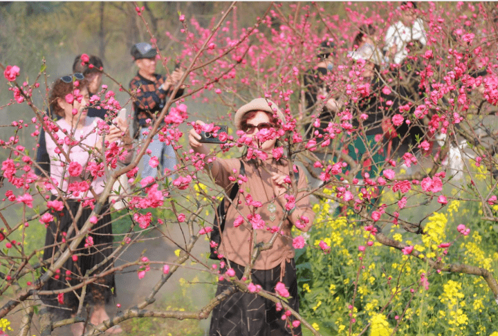 乡村|产业转型，延长产业链条，赏花游升级—— “赏花经济”美了乡村富了农民