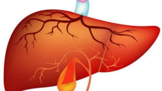 物质|肝脏如此重要，怎样保护它的健康？做到这几点拥有好肝脏