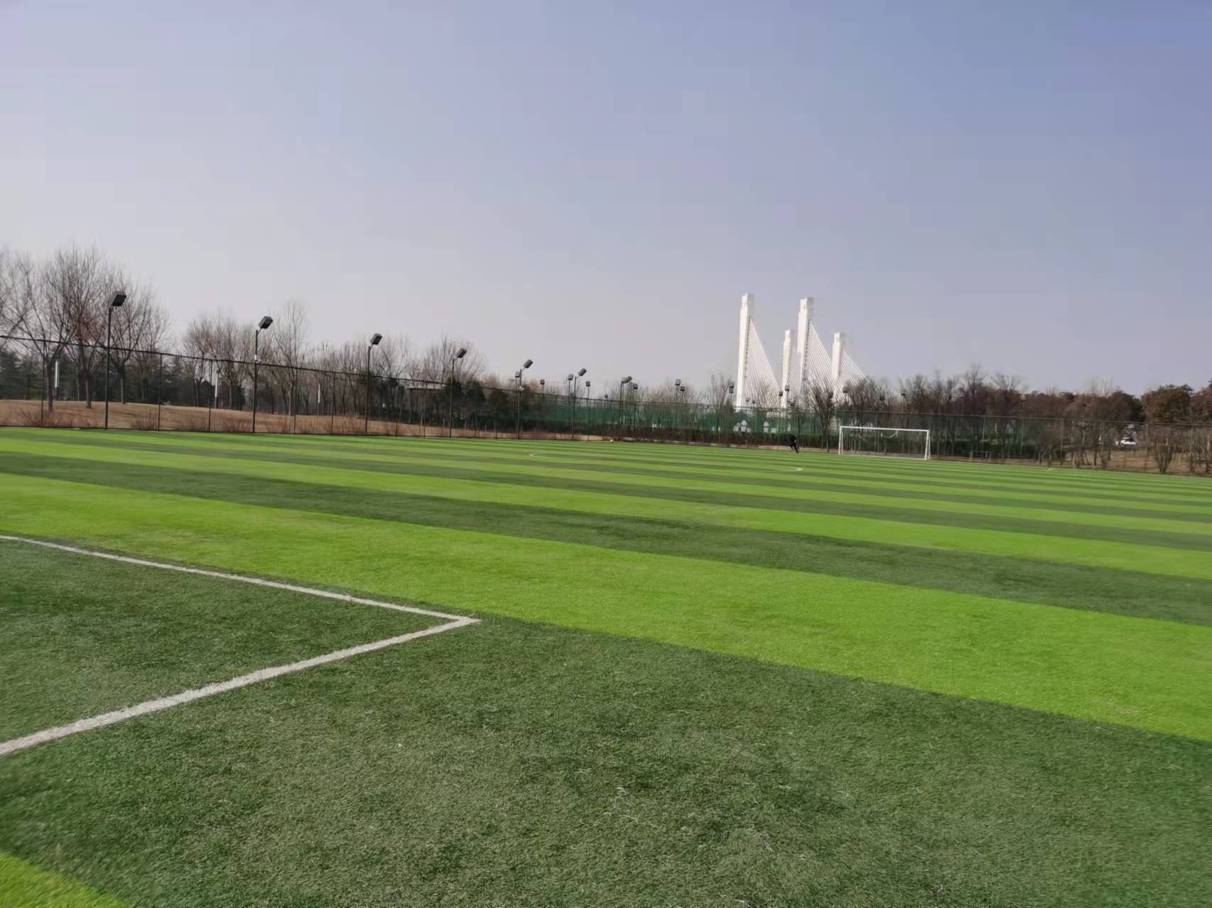 进场需交20元进门费郑州足球公园球场收费引争议