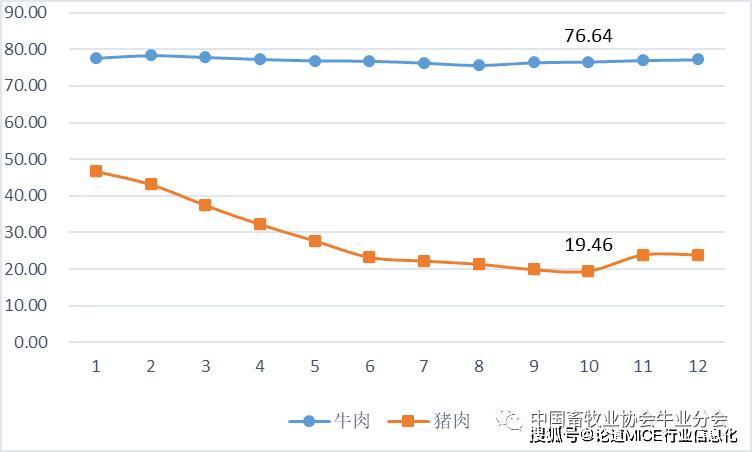 肉牛生长规律表图片