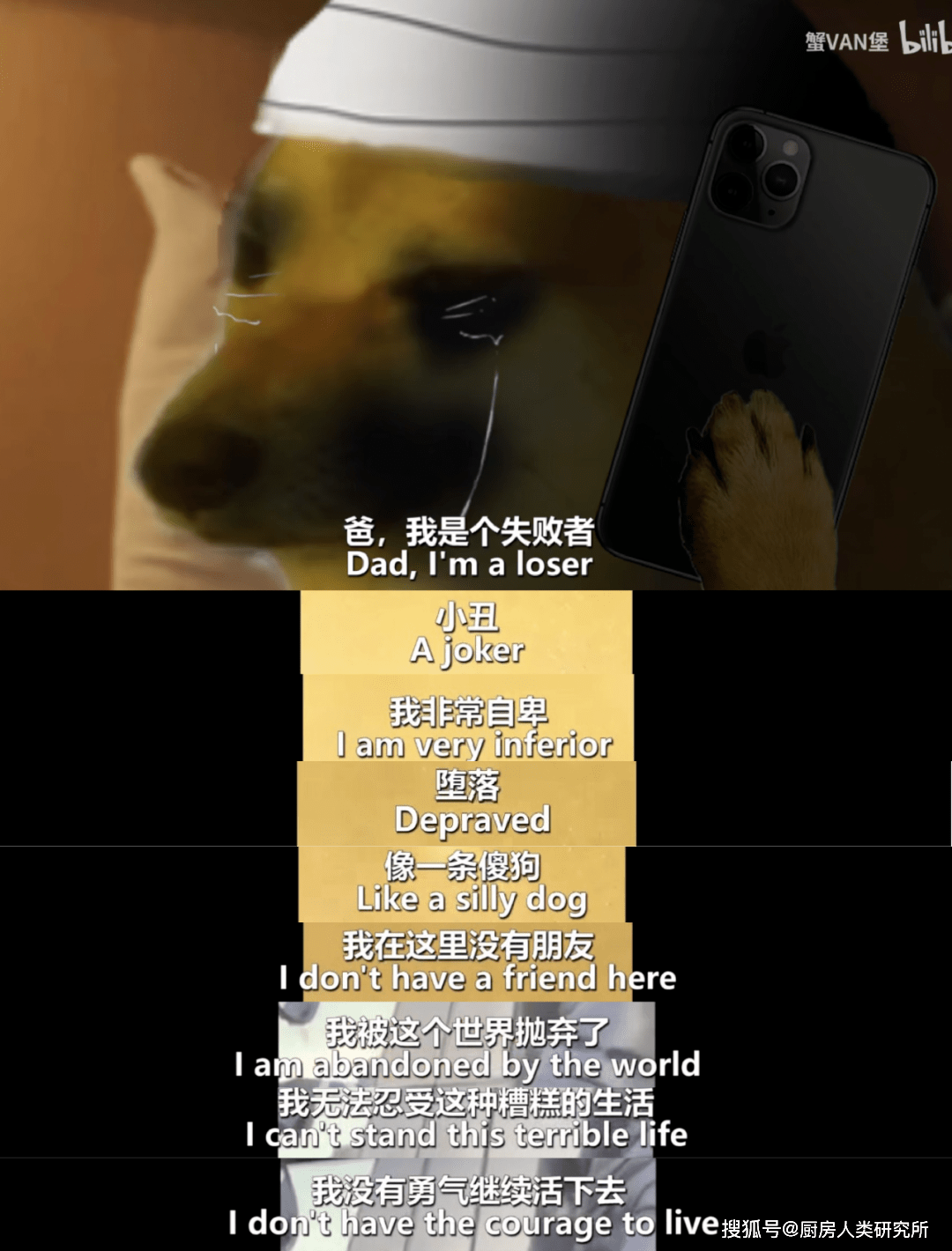 这个世界就是充满了苦难,我以前没有告诉你,因为我只想让你感到快乐