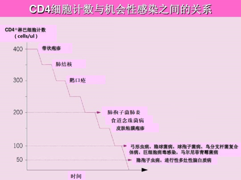 包括淋巴细胞,单核巨噬细胞等,它能抵御外界的病原体(包括病毒,细菌等