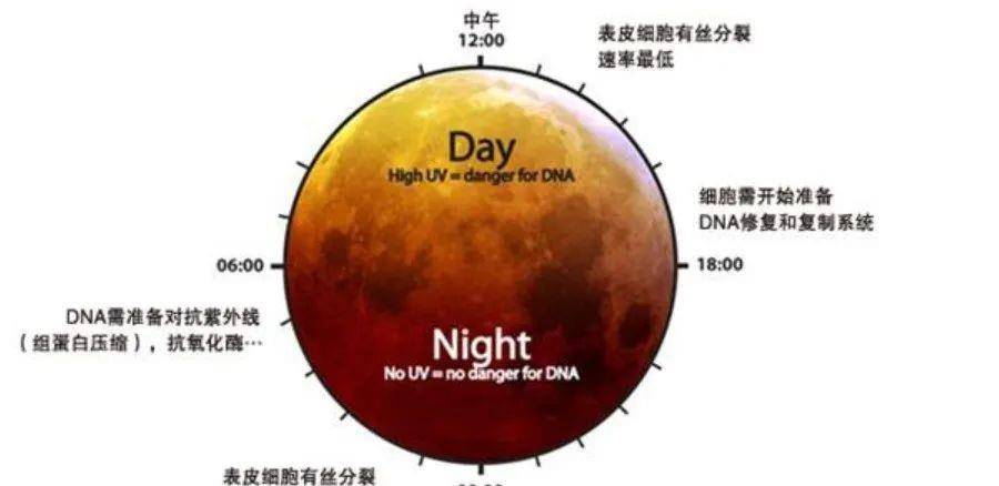 白天虞书欣买35万名表眼都不眨，保养只靠医美？年轻缺少岁月的毒打