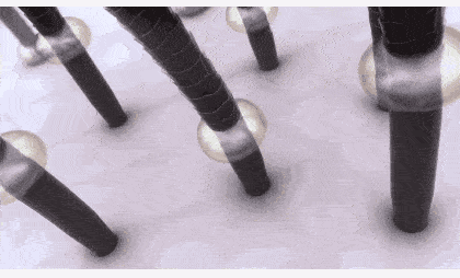 洗头有种整容叫“袁咏仪散发”，48岁比18岁更美，港姐气质瞬间上身