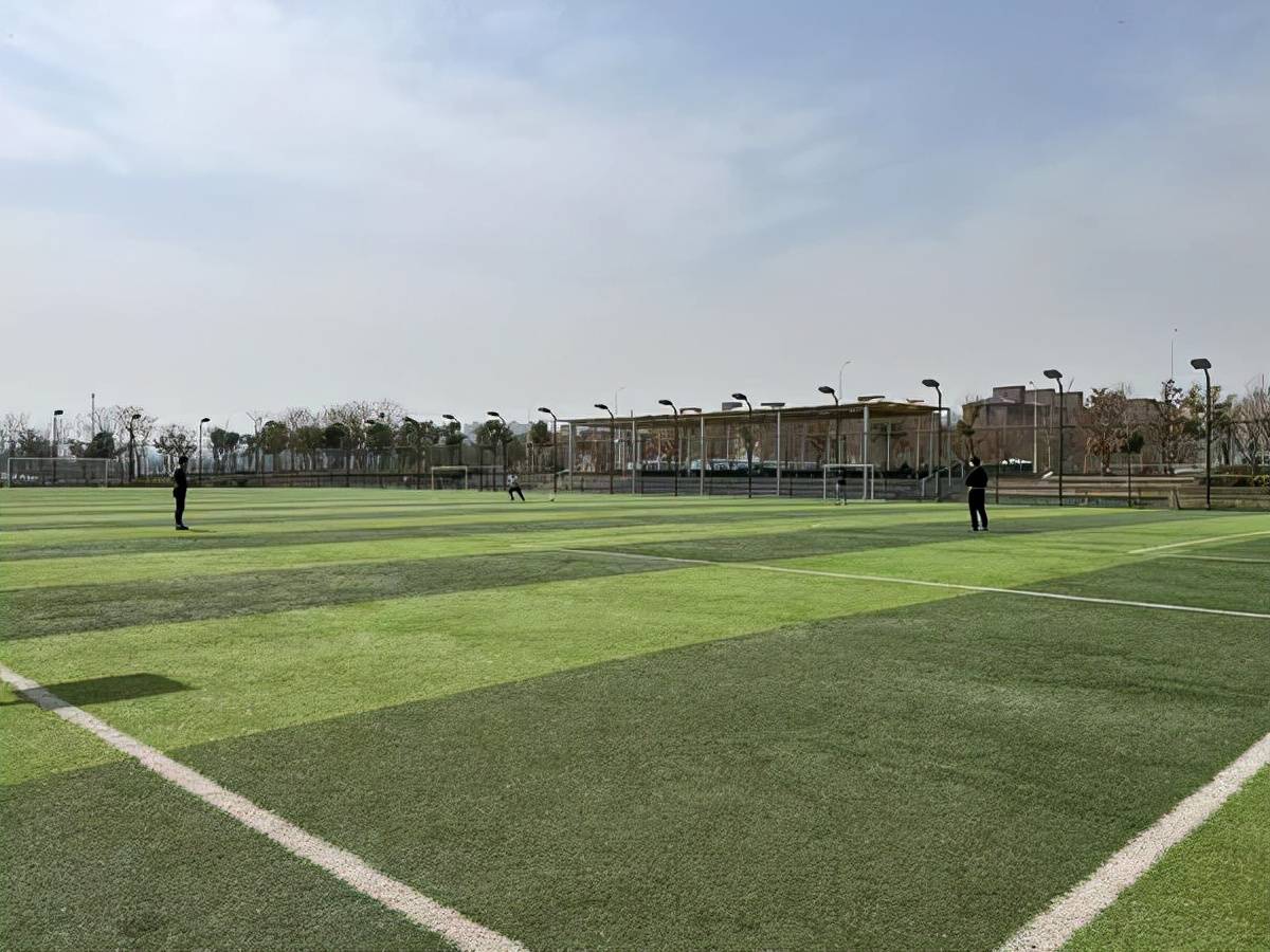 进场需交20元进门费郑州足球公园球场收费引争议