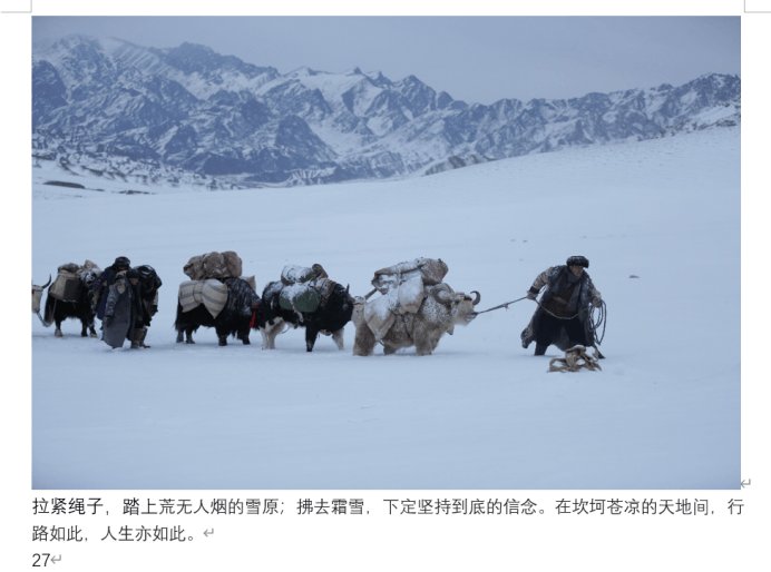 电影《花儿为什么这样红》发布终极海报预告 还原戍边战士种出生命之花 