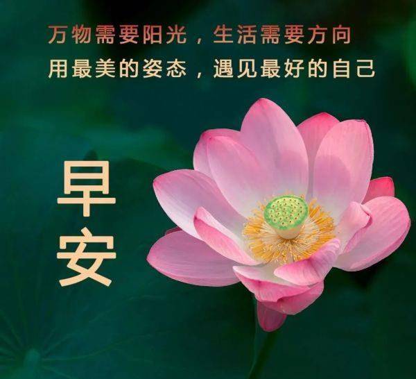 梦想|非常漂亮早晨好问候语表情包，清晨漂亮的早安祝福语带图片