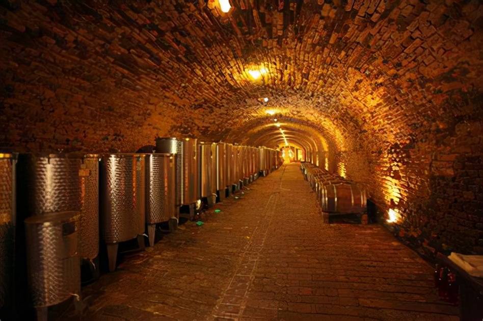 进行|您的酒窖至关重要:酒窖建设注意事项