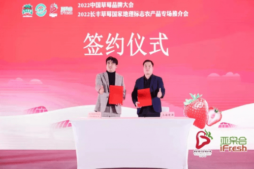 栽培设施栽培面积达21万亩，长丰草莓香溢四海